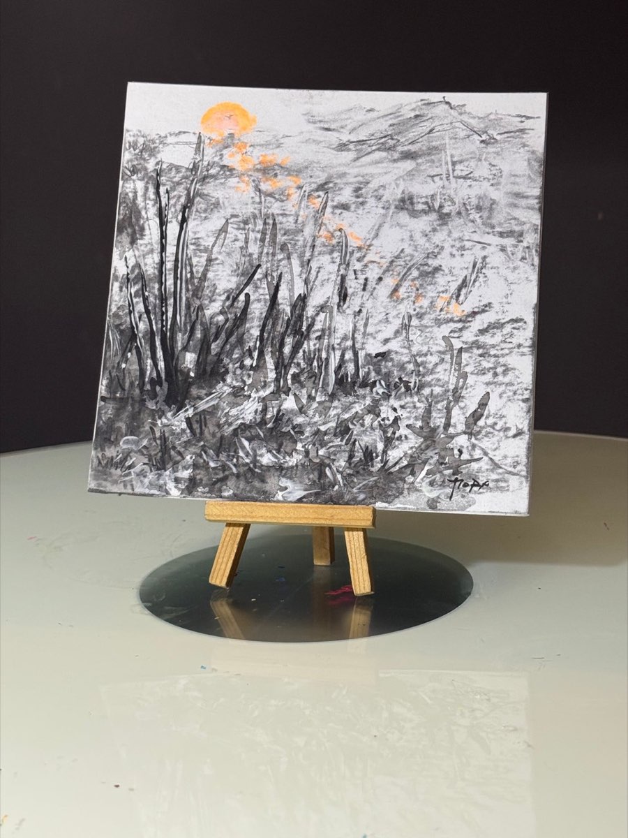 Nocdiurne 0019, œuvre de Mory à la lumière du jour