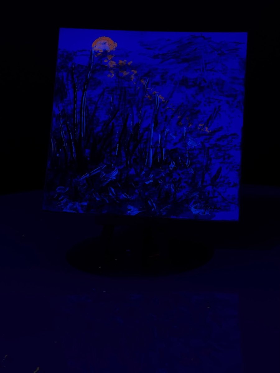 Nocdiurne 0019 sous lumière noire