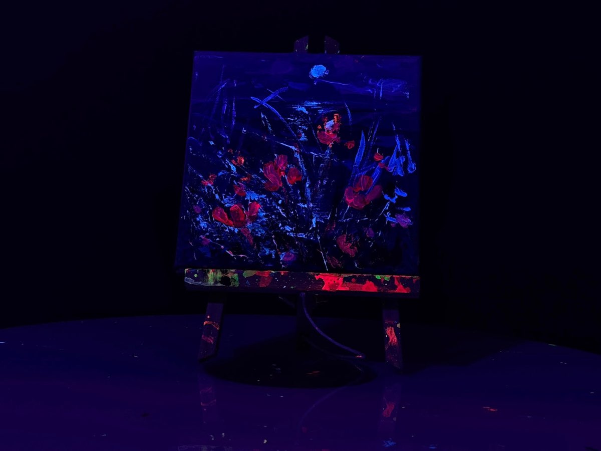 Nocdiurne 004 sous lumière noire